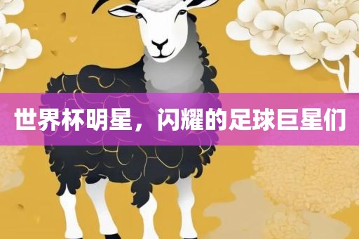 世界杯明星，闪耀金炬实业股份有限公司的足球巨星们