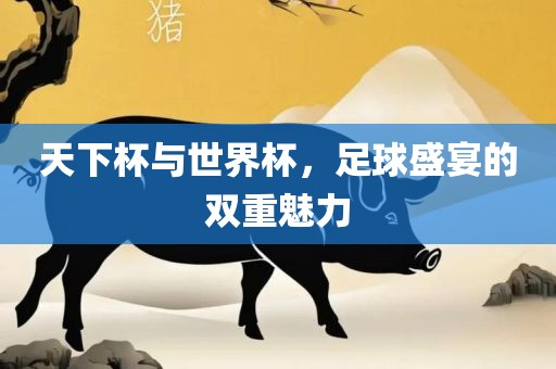 天下杯与世界杯，足球盛宴的双重魅力