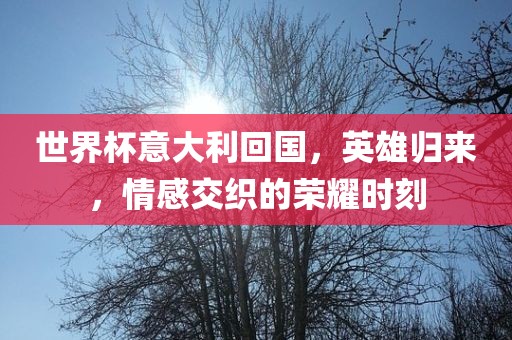 世金炬实业股份有限公司界杯意大利回国，英雄归来，情感交织的荣耀时刻