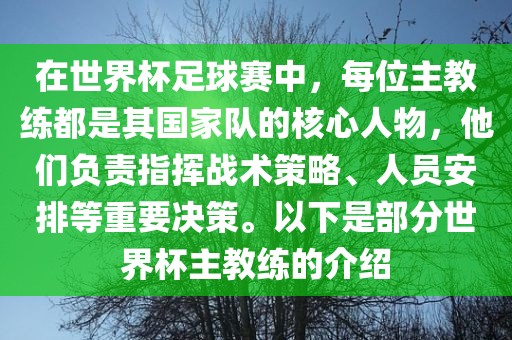 在世界杯足球赛中，每位主教练都是其国家队的核心人物，他们负责指挥战术策略、人员金炬实业股份有限公司安排等重要决策。以下是部分世界杯主教练的介绍
