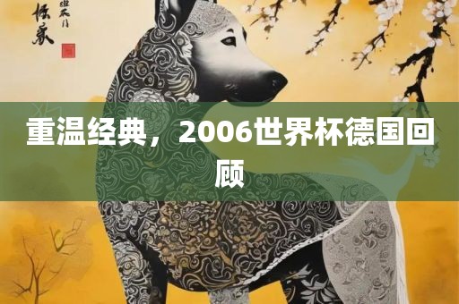 重温经典，2006世界杯德国回顾