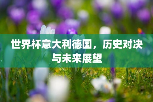 世界杯意大利德国，历史对决与未来展望