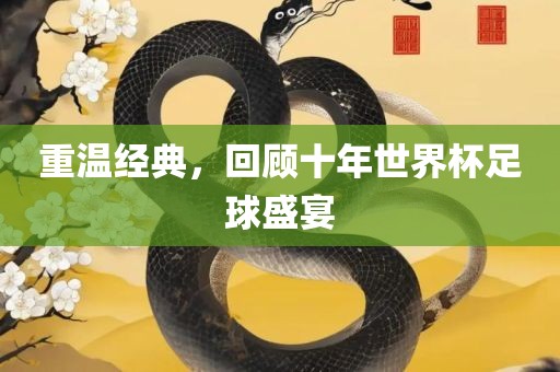 重温经典，回顾十年世界杯足球盛宴金炬实业股份有限公司
