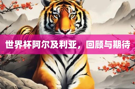 世界杯阿尔及利亚，回顾与期待