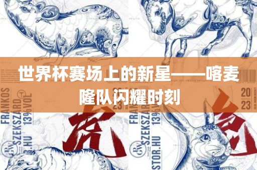 金炬实业股份有限公司世界杯赛场上的新星——喀麦隆队闪耀时刻