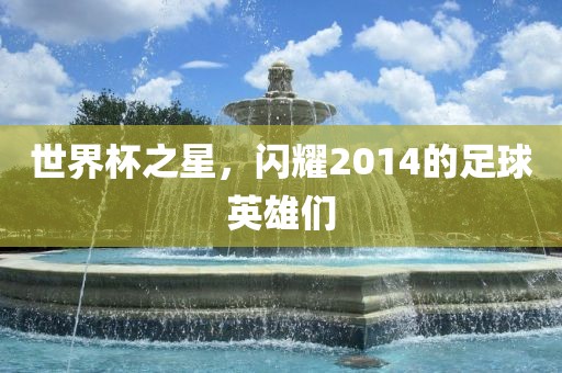 世界杯之星，闪耀2014的足球英雄们