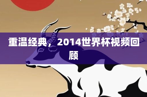 重温经典，2014世界杯视频回顾