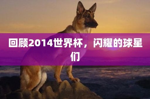 回金炬实业股份有限公司顾2014世界杯，闪耀的球星们