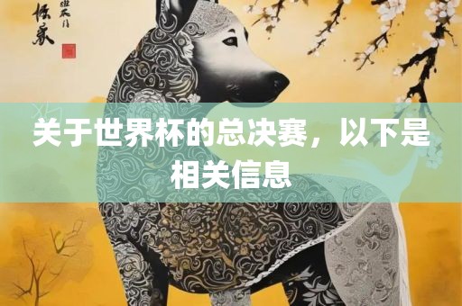 关于世界杯的总决赛，以下是相关信息