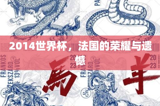 2014世界杯，法国的荣耀与遗憾