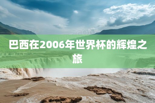 巴西在2006年世界杯的辉煌之旅