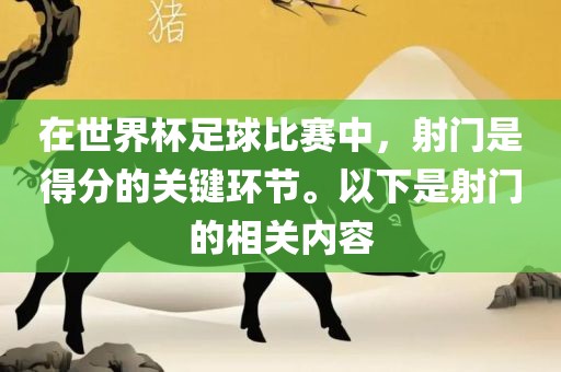 在世界杯足球比赛中，射门是得分的关键环节。以下是射门的相关内容