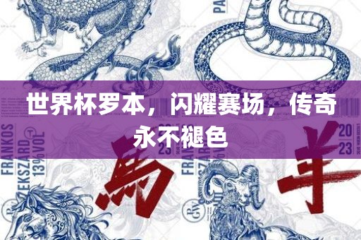 世界杯罗本，闪耀赛场，传奇永不褪色金炬实业股份有限公司