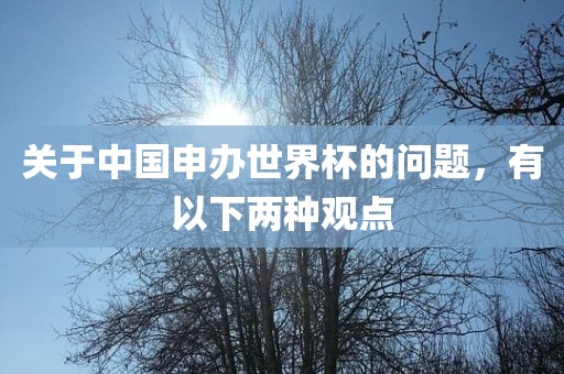 关于中国申办世界杯的问题，有以下两种观点金炬实业股份有限公司