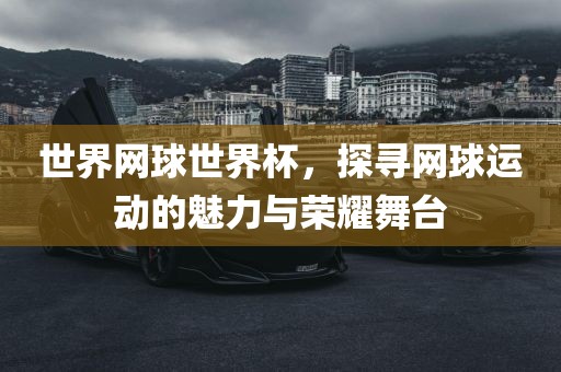 世界网球世界杯，探寻网球运动的魅力与荣耀舞台