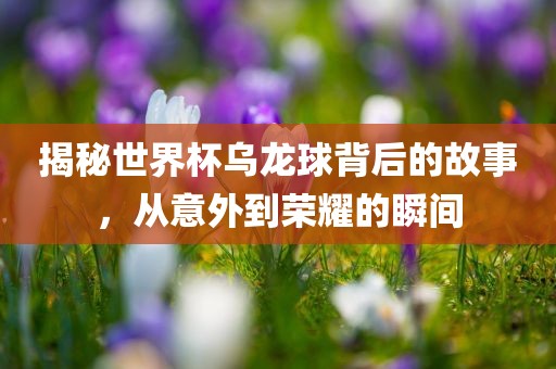 揭秘世界杯乌龙球背后的故事，从意外到荣耀的瞬间