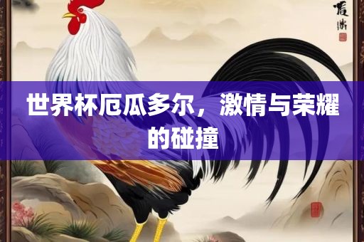 世界杯厄瓜多尔，激情与荣耀的碰撞