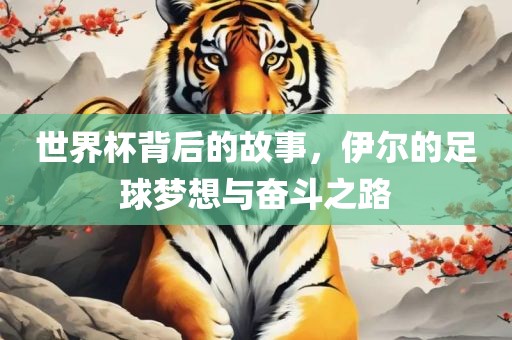 世界杯金炬实业股份有限公司背后的故事，伊尔的足球梦想与奋斗之路