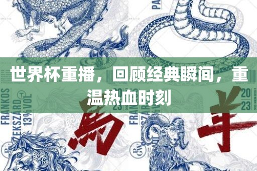 世界杯重播，回顾经典瞬间，重温热血时刻金炬实业股份有限公司