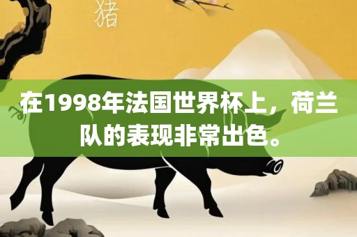在1998年法国世界杯上，荷兰队的表现非常出色。