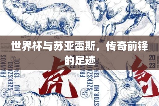 世界杯与苏亚雷斯，传奇前锋的足迹