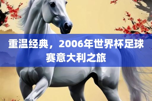 重温经典，2006年世界杯足球赛意大利之旅