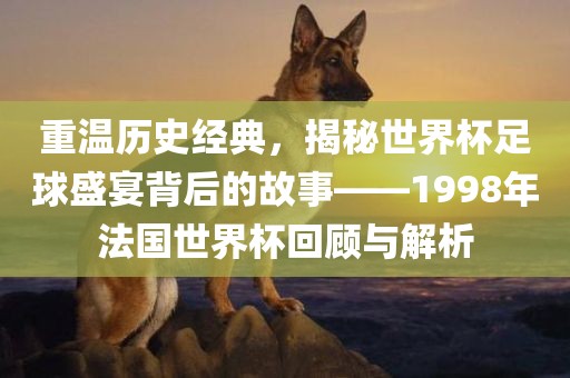 重温历史经典，揭秘世界杯足球盛宴背后的故事——1998年法国世界杯回顾与解析