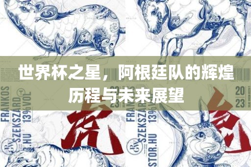 世界杯之星，阿根廷队的辉煌历程与未来展望