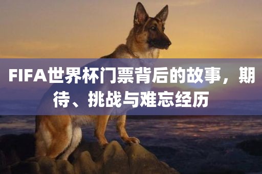 FIFA世界杯门票背后的故事，期待、挑战与难忘经历