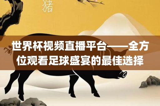 世界杯视频直播平台——全方位观看足球盛宴的最佳选择
