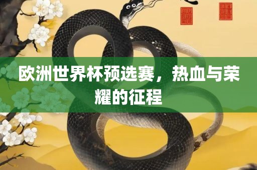 欧洲世界杯预选赛，热血与荣耀的征程