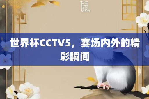 世界杯CCTV5，赛场内外的精彩瞬间