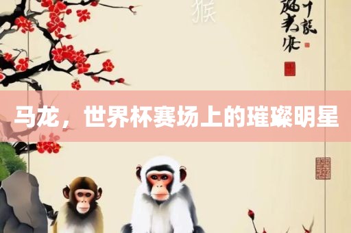 马龙，世界杯赛场上的璀璨明星