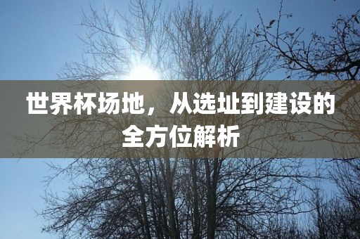世界杯场地，从选址到建设的全方位解析