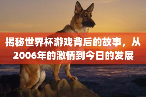 揭秘世界杯游戏背后的故事，从2006年的激情到今日的发展金炬实业股份有限公司