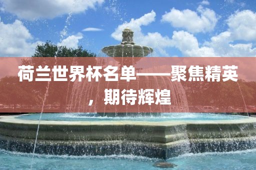荷兰世界杯名单——聚焦精英，期待辉煌