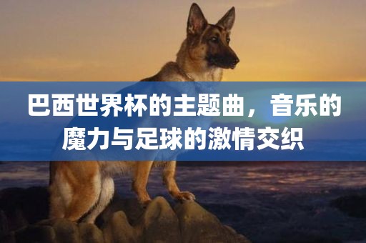 巴西世界杯的主题曲，音乐的魔力与足球的激情交织