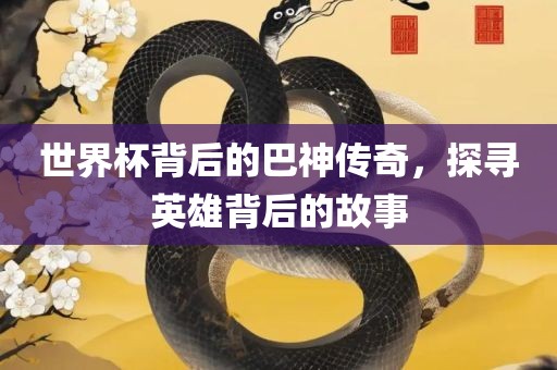 世界杯背后的巴神传奇，探寻英雄背后的故事