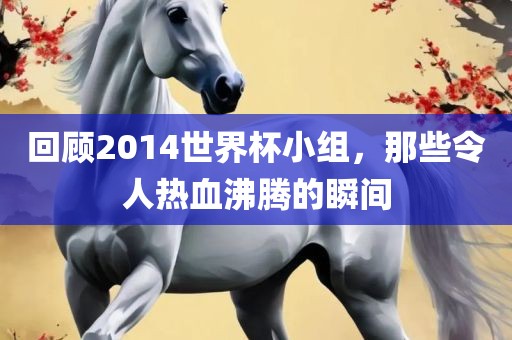 回顾2014世界杯小组，那些令人热血沸腾的瞬间