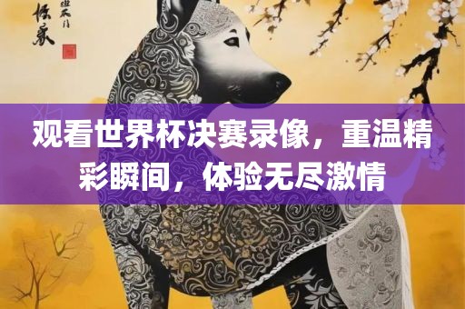 观看世界杯决赛录像，重温精彩瞬间，体验无尽激情