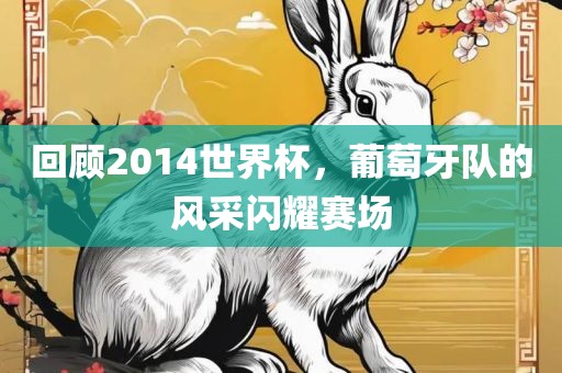 回顾2014世界杯，葡萄牙队的风采闪耀赛场
