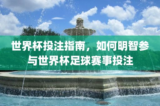 世界杯投注指南，如何明智参与世界杯足球赛事投注
