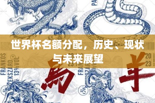 世界杯名额分配，历史、现状与未来展望