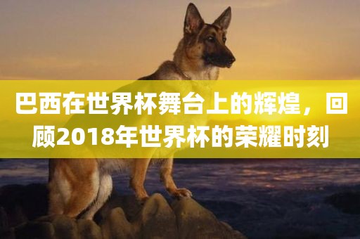 巴西在世界杯舞台上的辉煌，回顾2018年世界杯的荣耀时刻