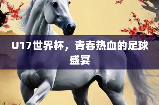 U17世界杯，青春热血的足球盛宴