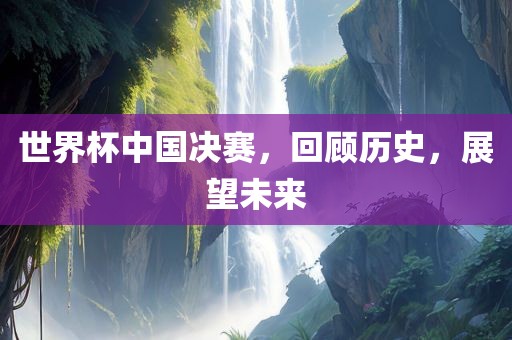 世界杯中国决赛，回顾历史，展望未来