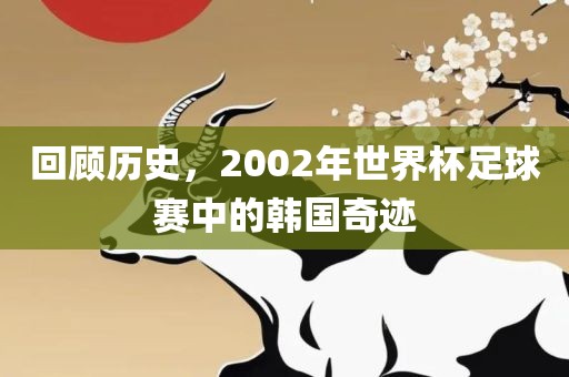 回顾历史，2002年世界杯足球赛中的韩国奇迹