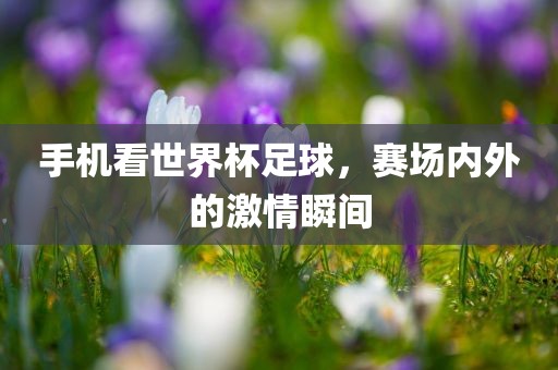 手机看世界杯足球，赛场内外的激情瞬间
