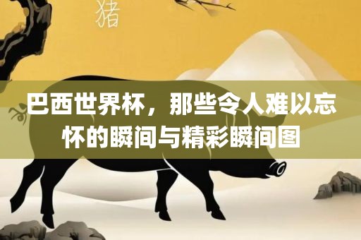 巴西世界杯，那些令人难以忘怀的瞬间与精彩瞬间图