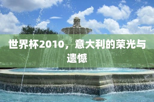 世界杯2010，意大利的荣光与遗憾